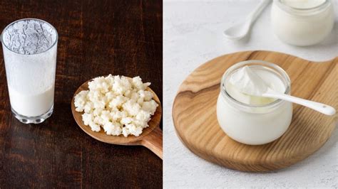 Comparativa visual entre yogur y kéfir, mostrando su textura y gránulos