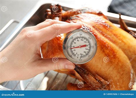termómetro de carne insertado en pavo asado