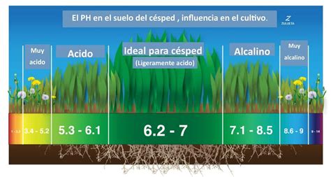 Infografía sobre los rangos de pH óptimos del suelo para el cultivo de manzanos