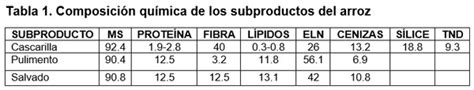 Esquema de la composición química de la cascarilla de arroz destacando la sílice