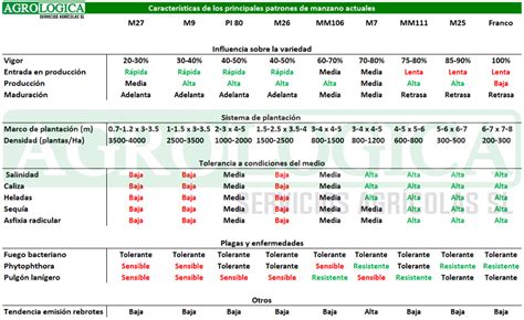 Tabla comparativa de patrones de manzano y sus densidades de plantación