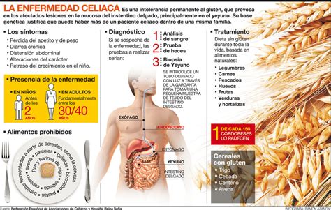Esquema explicativo sobre la enfermedad celíaca, su impacto en el sistema digestivo y la necesidad de evitar el gluten en la dieta y otros productos.