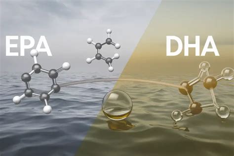 Esquema de las estructuras moleculares de EPA y DHA