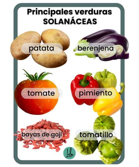 Esquema de las solanáceas comunes y sus partes comestibles