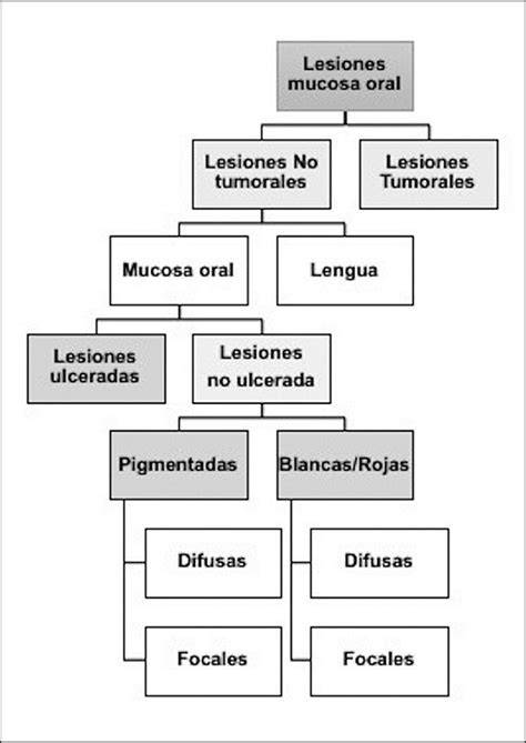 Esquema de las posibles lesiones internas por huesos astillados en perros: garganta, esófago, estómago, intestinos