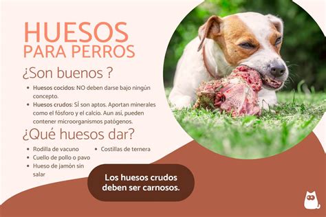 Gráfico comparativo de los beneficios de los huesos crudos (dental, nutrición, mental) vs. riesgos (asfixia, obstrucción, bacterias)