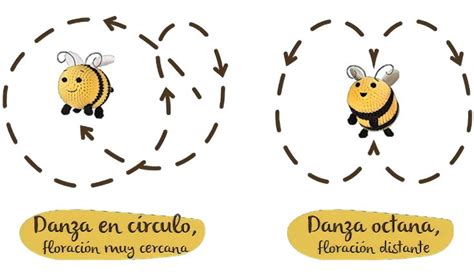 Ilustración detallada de los diferentes defectos físicos que pueden afectar a la piña.