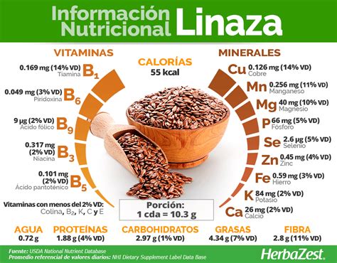 Infografía: Composición nutricional de la linaza (fibra, omega-3, lignanos, proteínas, vitaminas y minerales)