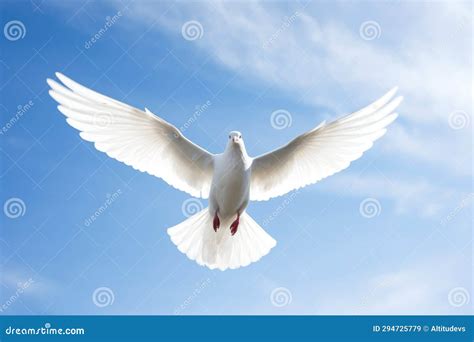 paloma volando sola en el cielo azul, simbolizando separación y anhelo