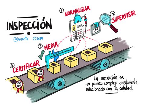 Esquema del proceso de inspección de fruta en línea para exportación