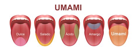 Infografía mostrando el equilibrio de sabores dulce, ácido y umami en la salsa de ciruela china y su origen en Asia.