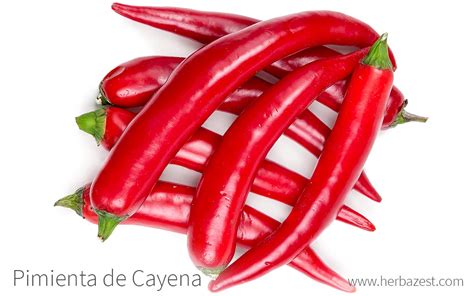 imagen detallada de un pimiento de cayena fresco y seco