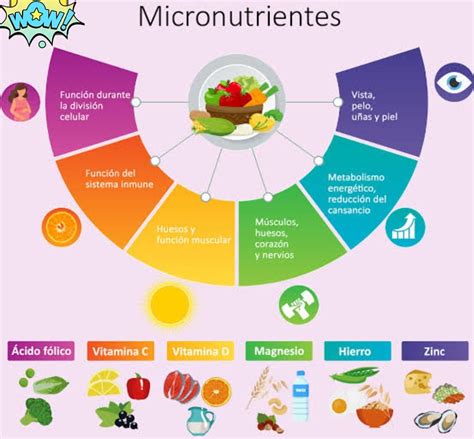 Infografía: Micronutrientes esenciales para la función tiroidea (yodo, selenio, zinc, hierro, vitamina D, magnesio)