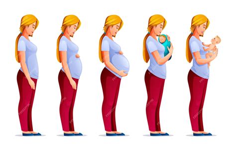 Ilustración mostrando los cambios en el abdomen de una mujer embarazada en la semana 17, con el útero en crecimiento.