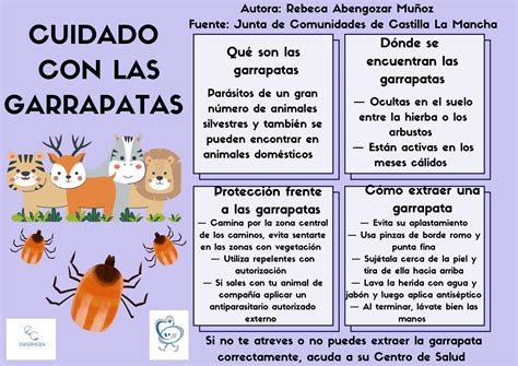 infografía sobre los peligros de las garrapatas en mascotas