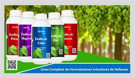 Infografía: cómo los productos foliares protegen las plantas del frío a nivel celular