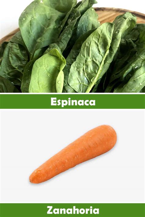 Ilustración de ingredientes naturales como espinaca y zanahoria