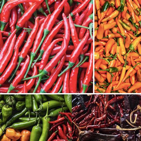 Variedad de platos que utilizan ají como ingrediente principal