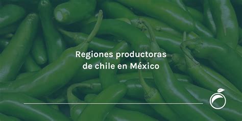Infografía comparativa de las regiones productoras de pisco en Chile y Perú