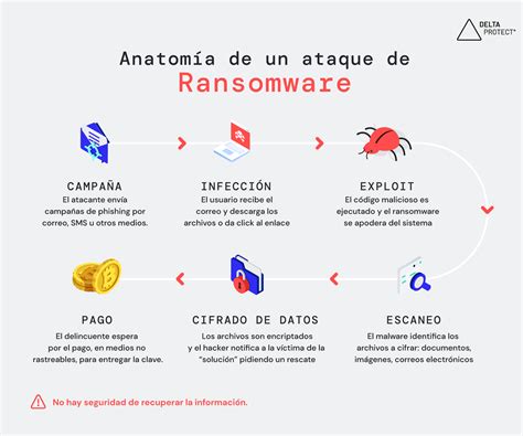 Infografía que muestra la anatomía de un meme viral: imagen, texto impactante y contexto cultural
