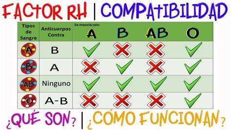 Tabla comparativa de grupos de floración y compatibilidad entre las variedades más comunes de manzano.