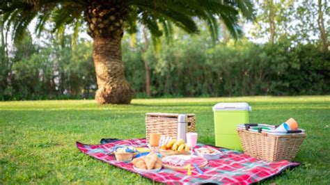 Hielera con bebidas y alimentos bien organizados para un picnic