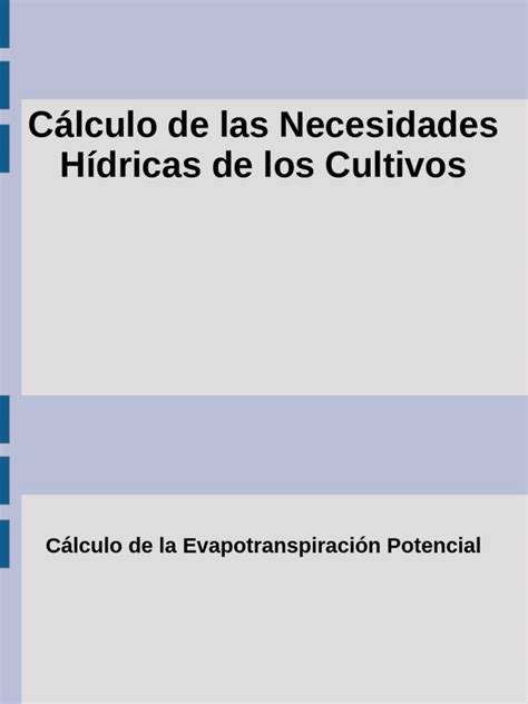 Gráfico comparativo de las necesidades hídricas de la cebolla según su etapa de crecimiento (vegetativa vs. engorde del bulbo).