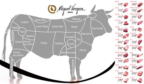 Mapa comparativo de cortes de carne de vacuno en diferentes países