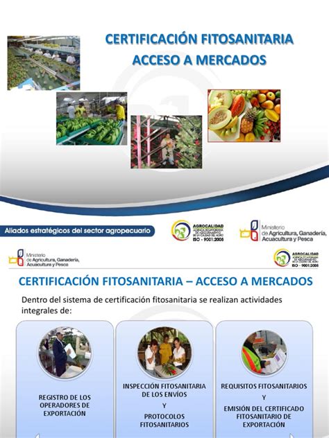 Infografía: Proceso de certificación fitosanitaria para exportación de frutas