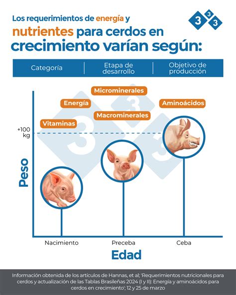Infografía: Requerimientos nutricionales clave en la dieta de conejos