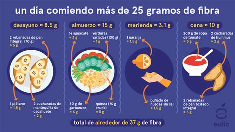 Infografía mostrando la relación entre la ingesta de fibra y la salud intestinal.