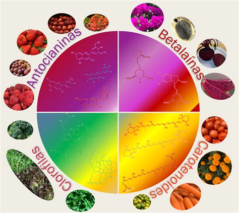 Tabla comparativa que detalla los beneficios de los pigmentos vegetales en la dieta humana.