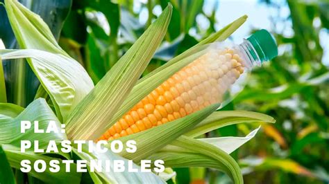 Foto de diversos productos hechos con bioplástico de maíz (envases, cubiertos, bolsas)