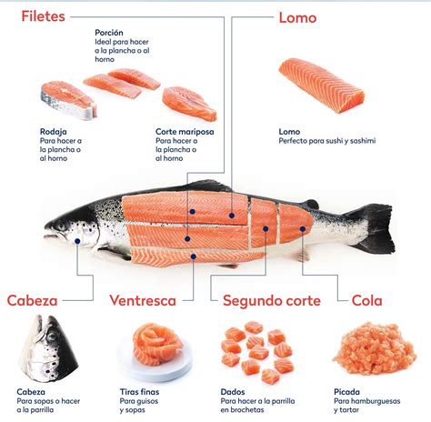 Esquema de corte de salmón para tartar