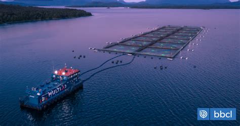 Panorama de la industria salmonera en Chile con centros de cultivo y el entorno natural