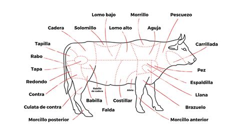 Esquema de las partes de la ternera y sus cortes principales