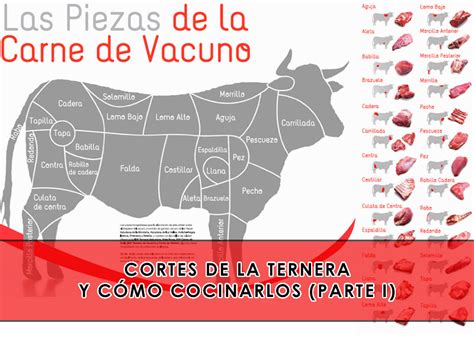 Ejemplos de diferentes cortes de ternera listos para cocinar