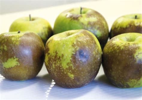 fotografía de una manzana con escaldado superficial