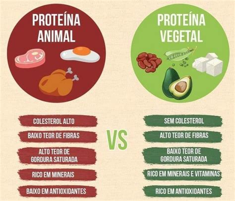 Infografía comparativa: fuentes de proteínas vegetales vs. animales para atletas de fuerza