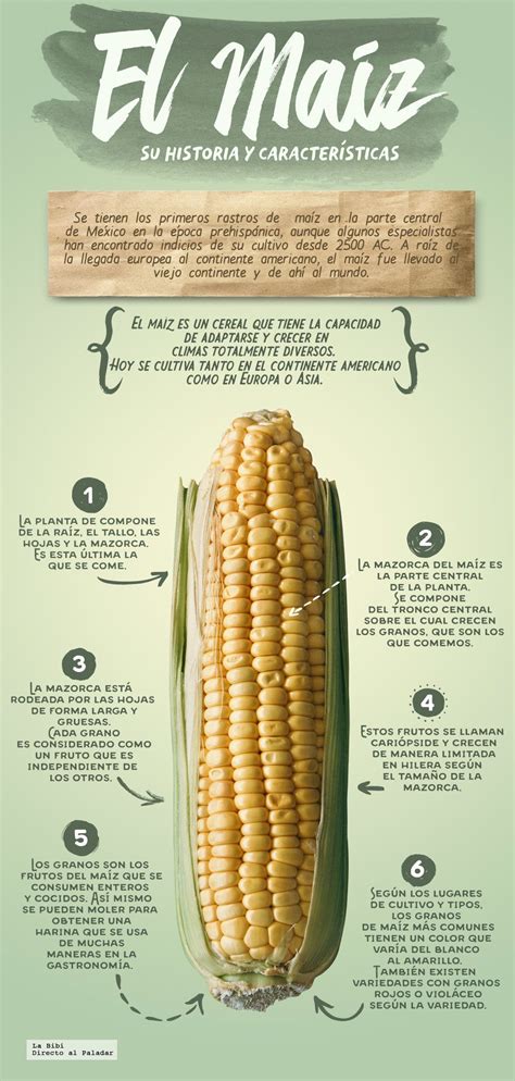 Infografía: Origen del maíz y su llegada a Europa