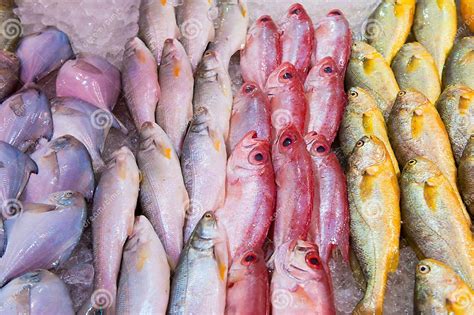 Pescados frescos en un mercado de Coquimbo