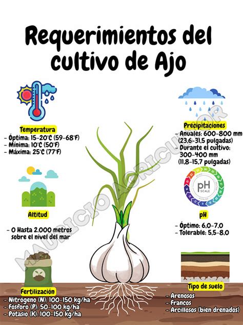 Infografía: Requerimientos climáticos óptimos para el cultivo de vainilla (temperatura, humedad, sombra)
