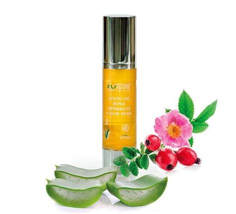 planta de aloe vera y aceite de rosa mosqueta