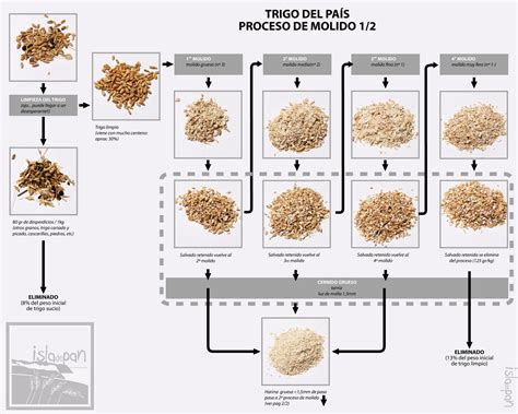 infografía que muestra el proceso de obtención de la harina de coco: desde el coco entero, pasando por la extracción de leche, hasta el secado y molienda de la pulpa restante