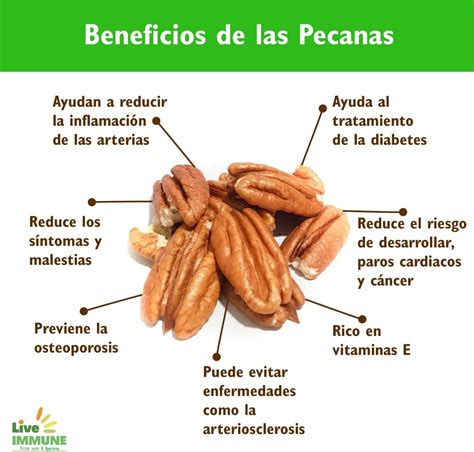 Ilustración mostrando los beneficios de las nueces pecanas para el corazón, el cerebro y la piel