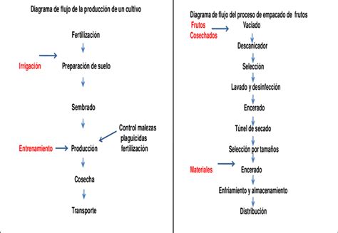 diagrama del proceso de cultivo de algas y puntos de posible contaminación