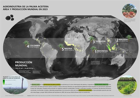 mapa mundial de producción de algas comestibles
