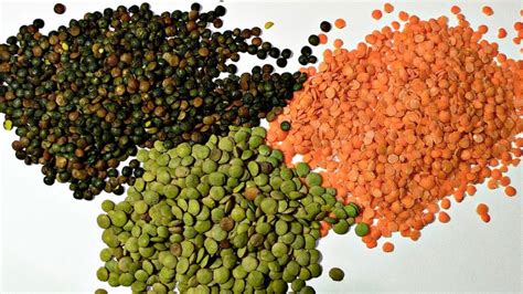 variedad de tipos de lentejas