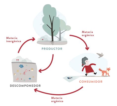 diagrama que muestra el ciclo de nutrientes en el suelo y el papel de los microorganismos