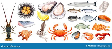 Ilustración de diferentes tipos de mariscos seguros para niños